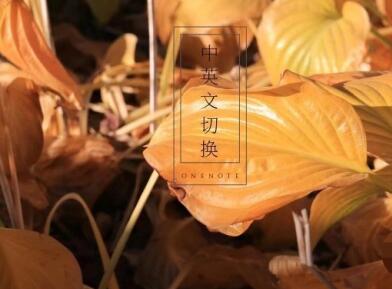 網(wǎng)站中英文切換怎么做？