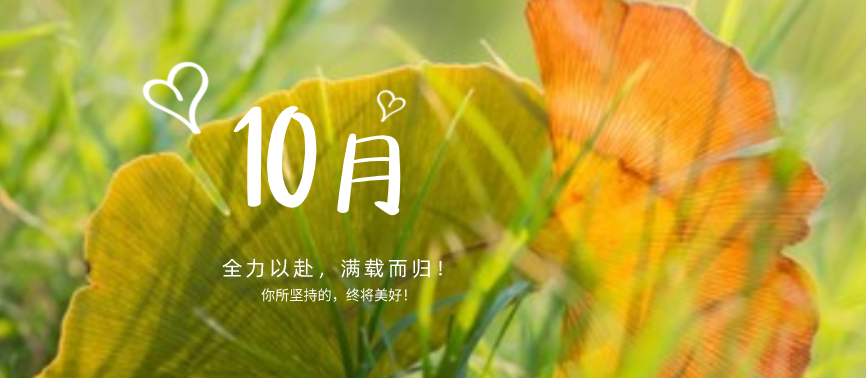 蓄力下半場|“十不我待，吾力全開”！網(wǎng)站設(shè)計、網(wǎng)站優(yōu)化都快做起來！